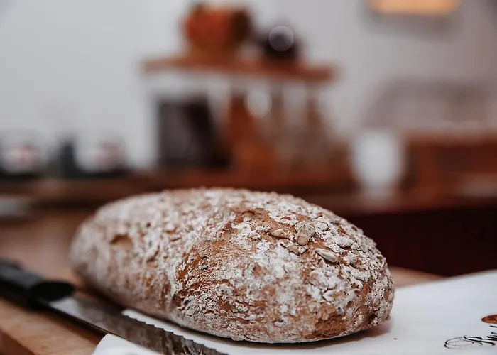 Vibes Soelden - Your Alpine Homebase Solden