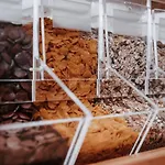 Vibes - Your Alpine Homebase